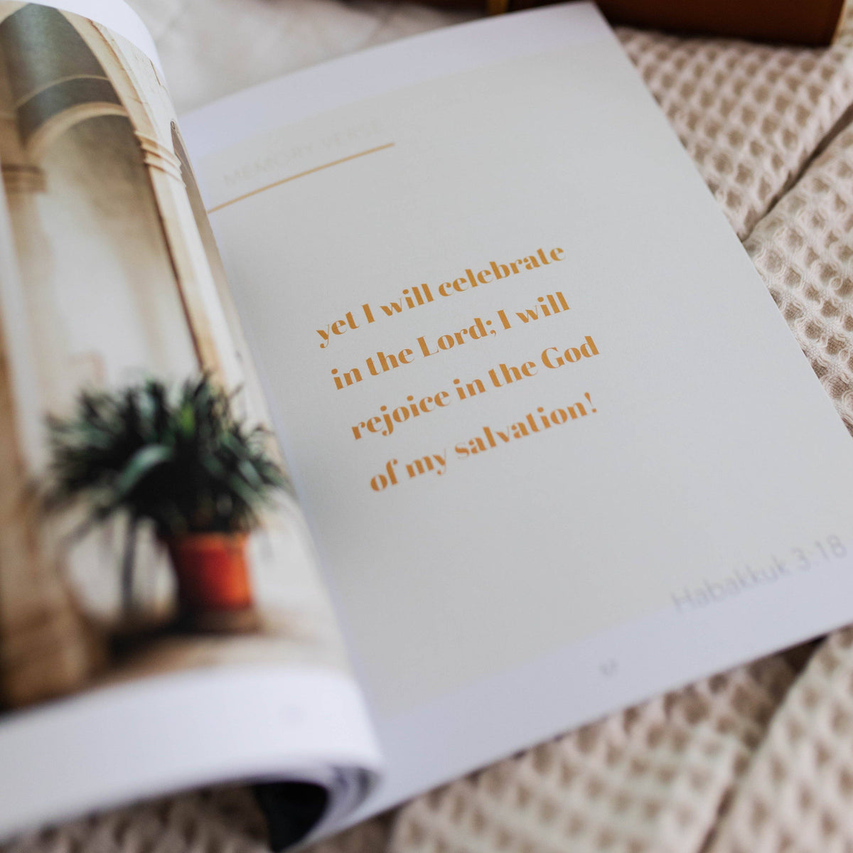 The Daily Grace Co Even If Bible Study Even If Bible Study