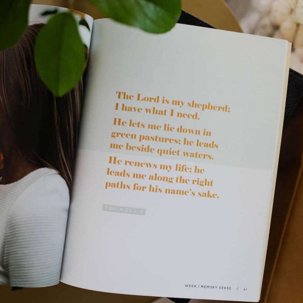 The Daily Grace Co He Leads Me Bible Study He Leads Me Bible Study