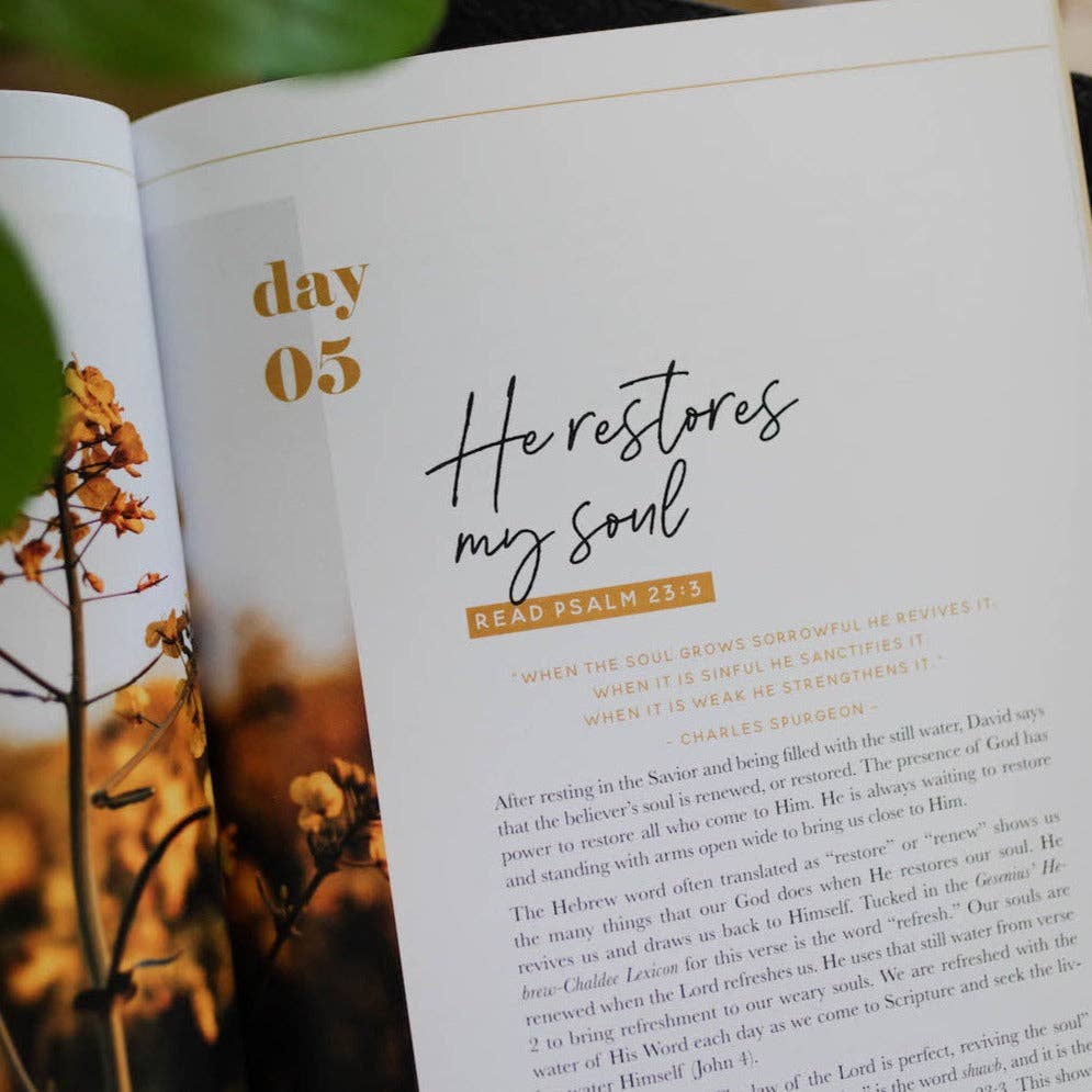 The Daily Grace Co He Leads Me Bible Study He Leads Me Bible Study