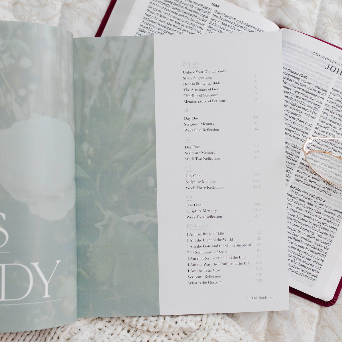 The Daily Grace Co I Am Bible Study I Am Bible Study