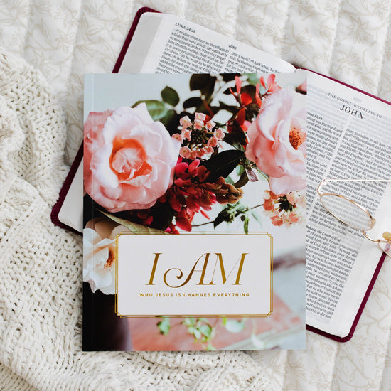 The Daily Grace Co I Am Bible Study I Am Bible Study