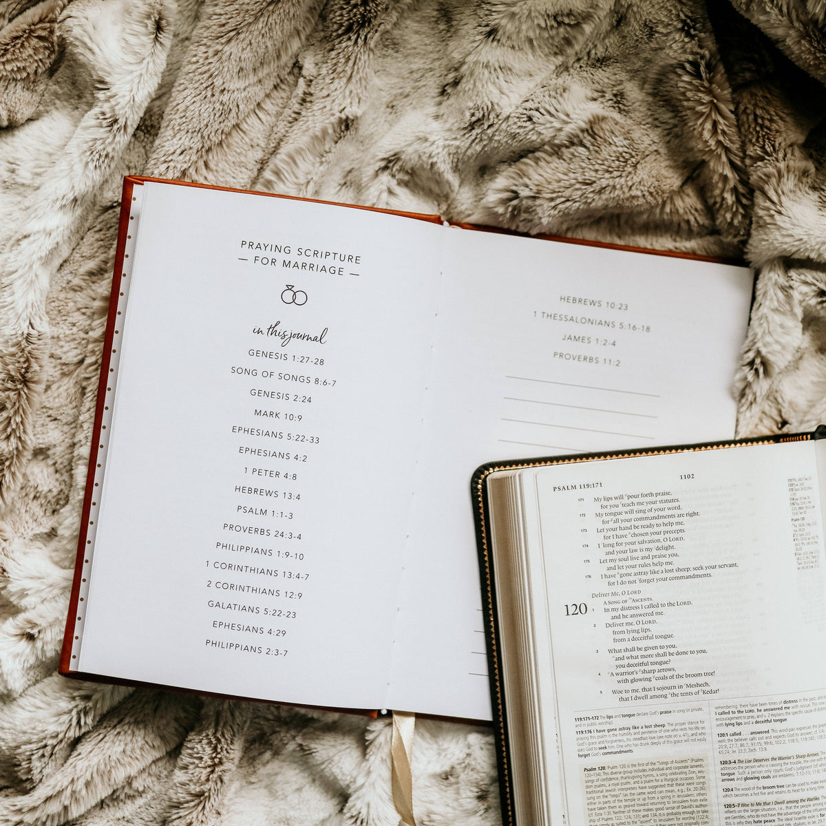 The Daily Grace Co Paper products Praying Scripture for Marriage Journal Praying Scripture for Marriage Journal