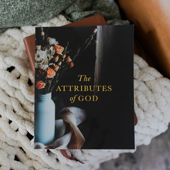 The Daily Grace Co Paper products The Attributes of God Bible Study The Attributes of God Bible Study