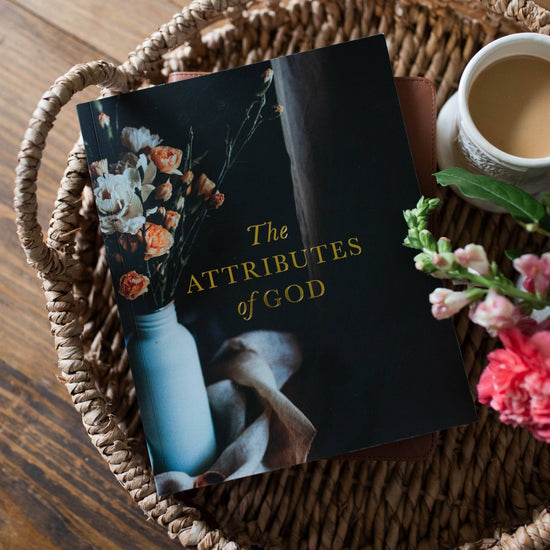 The Daily Grace Co Paper products The Attributes of God Bible Study The Attributes of God Bible Study