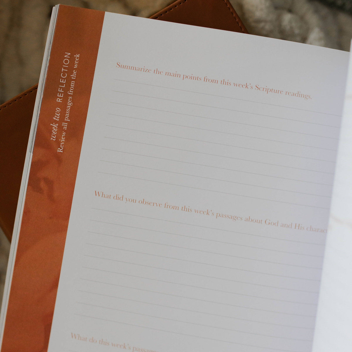 The Daily Grace Co Paper products The Attributes of God Bible Study The Attributes of God Bible Study