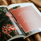 The Daily Grace Co Ruth Bible Study Ruth Bible Study
